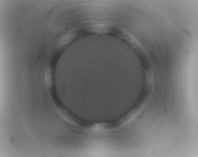 X0000115740080200911252009