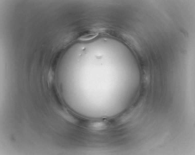 X0000115740081200911252009