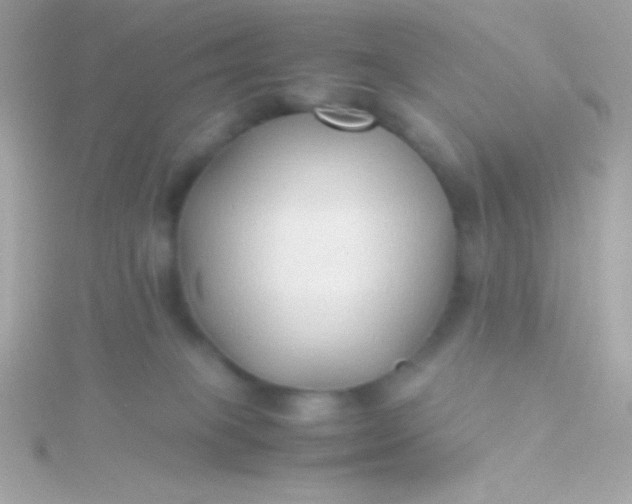 X0000115740085200911252009