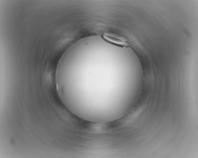 X0000115740088200911252009