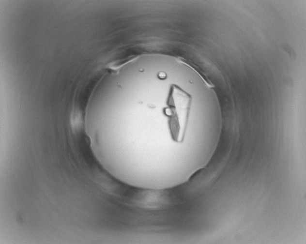 X0000115740089200911252009