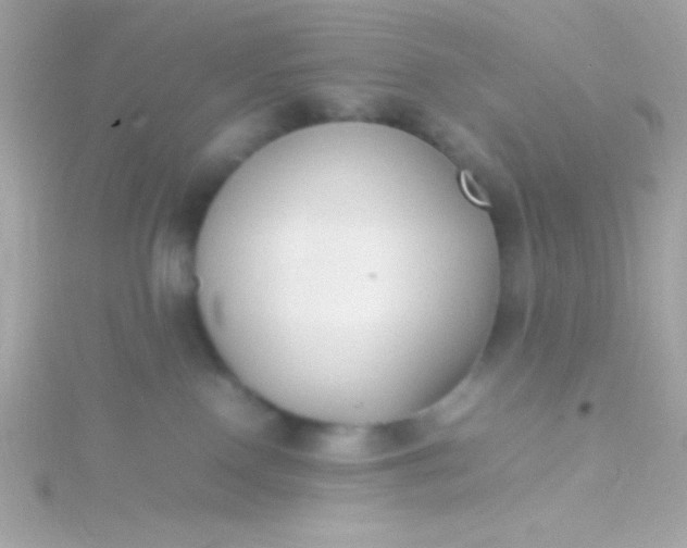 X0000115740090200911252009