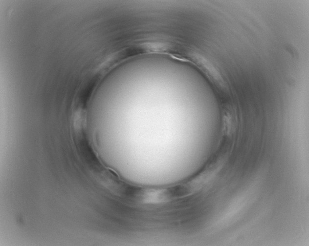 X0000115740093200911252009