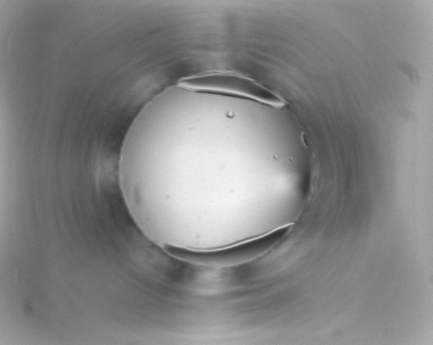 X0000115740096200911252009