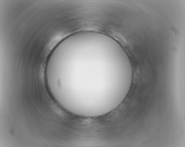 X0000115740098200911252008