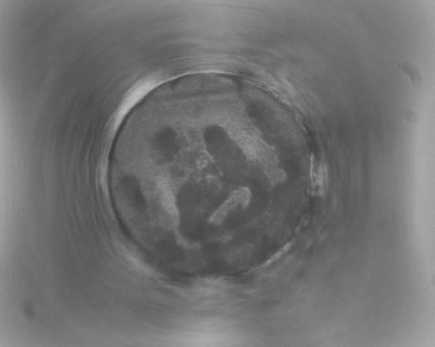 X0000115740099200911252008