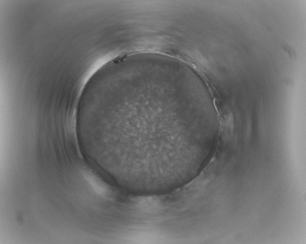 X0000115740100200911252008