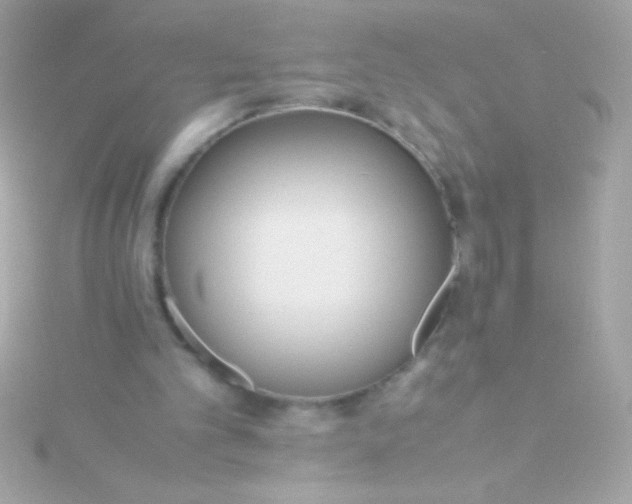 X0000115740101200911252008