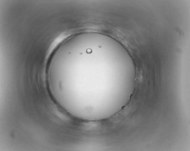 X0000115740102200911252008