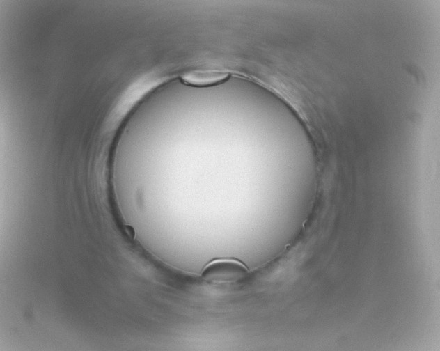 X0000115740103200911252008