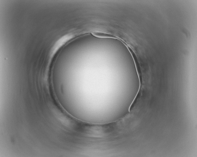 X0000115740104200911252008