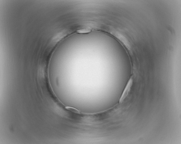 X0000115740105200911252008