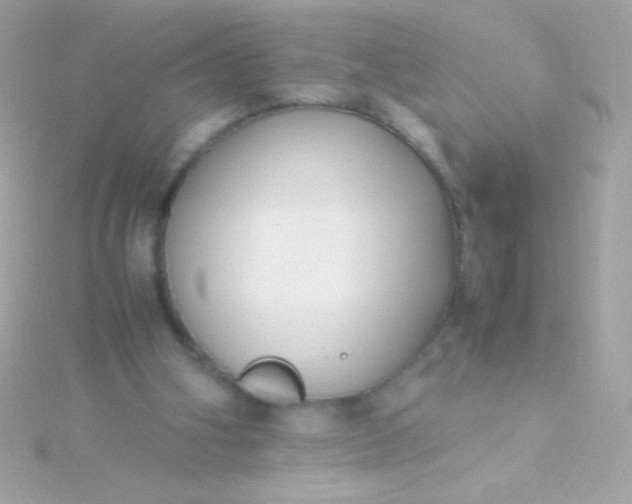 X0000115740106200911252008