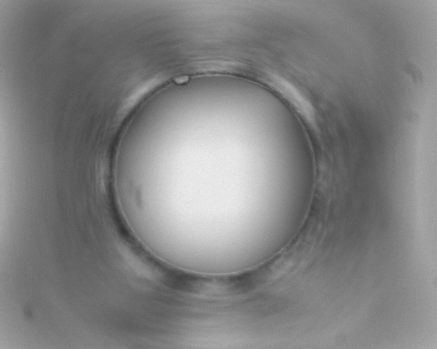 X0000115740107200911252008