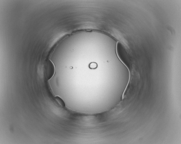 X0000115740108200911252008