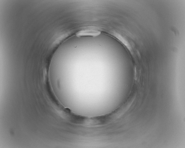 X0000115740109200911252008