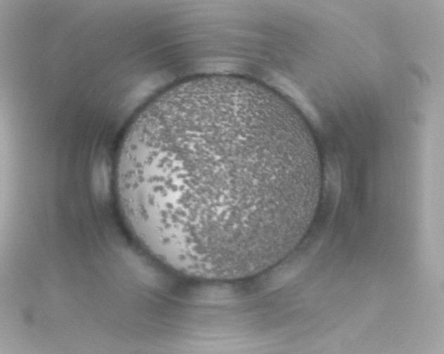 X0000115740110200911252008