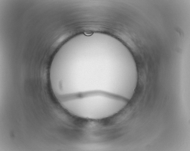 X0000115740111200911252008