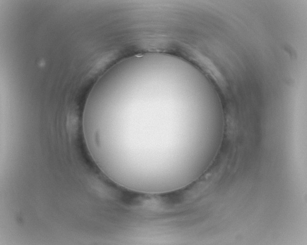 X0000115740113200911252008