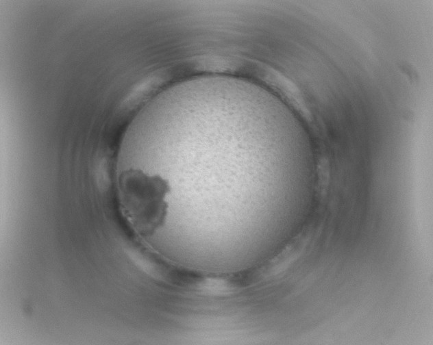 X0000115740114200911252008