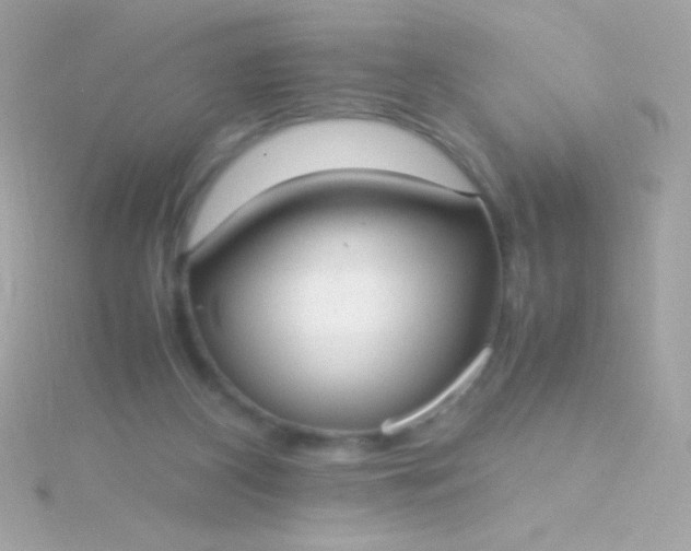 X0000115740116200911252008