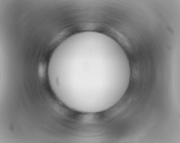 X0000115740118200911252008