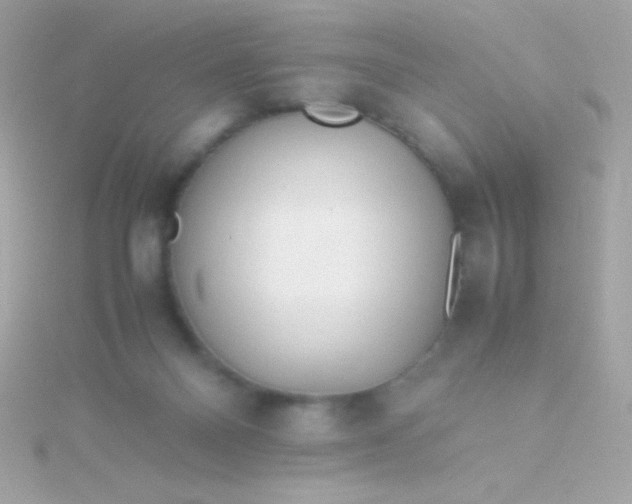 X0000115740120200911252008