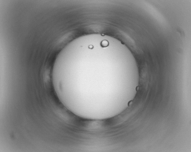 X0000115740122200911252008