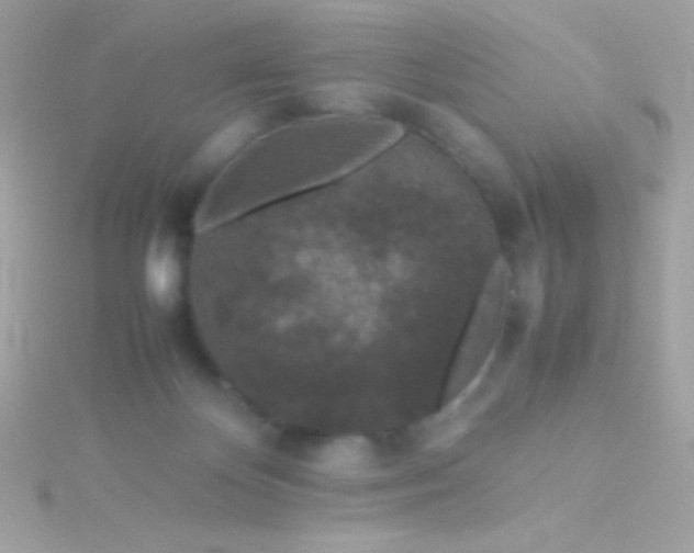 X0000115740124200911252008