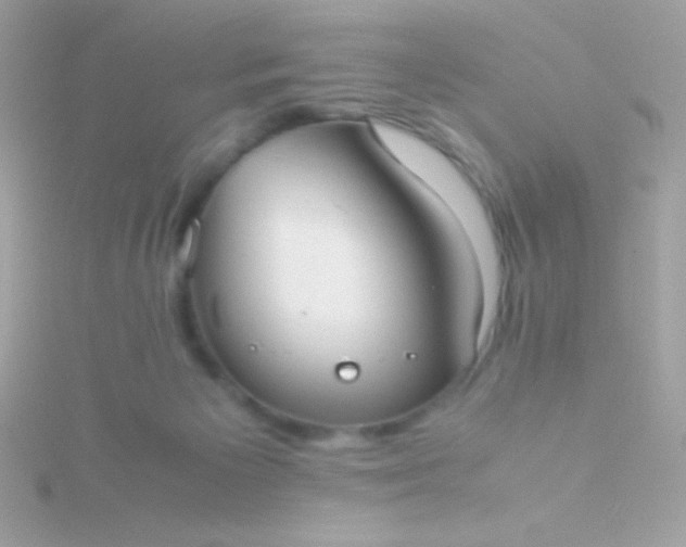 X0000115740125200911252008