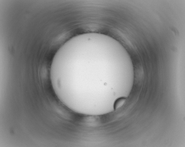 X0000115740126200911252008