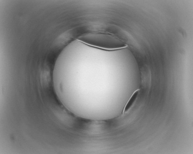 X0000115740128200911252008