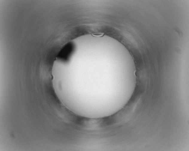 X0000115740129200911252008