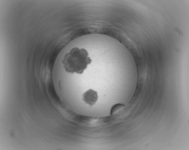 X0000115740130200911252008