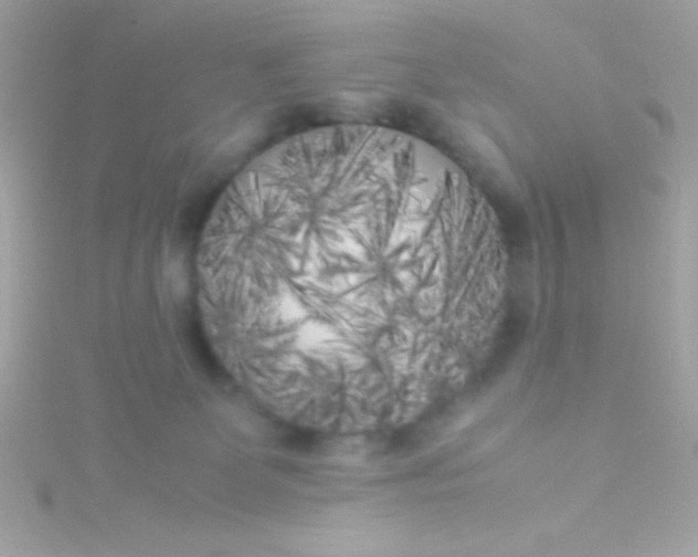 X0000115740131200911252008