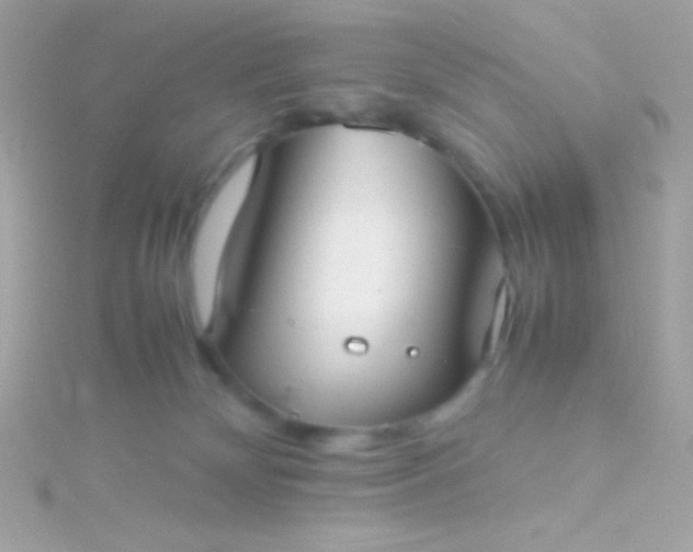 X0000115740132200911252008