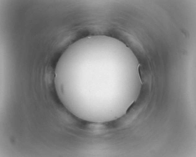 X0000115740133200911252008