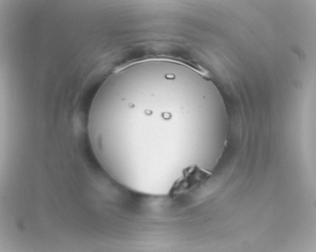 X0000115740135200911252008