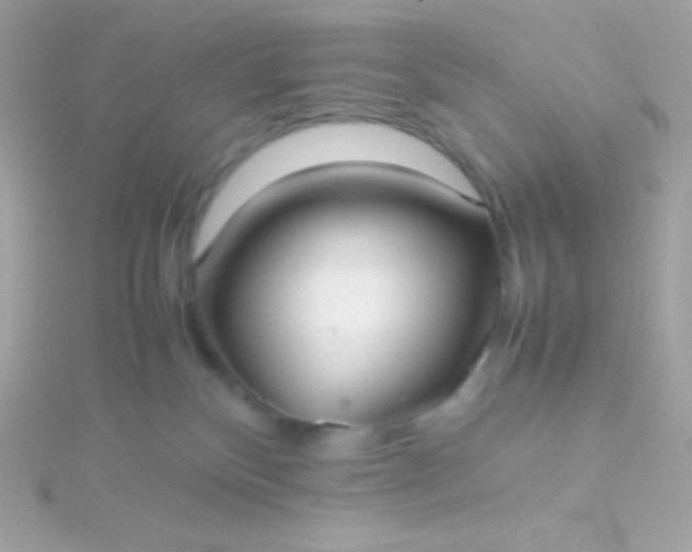 X0000115740136200911252008