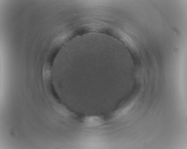 X0000115740137200911252008