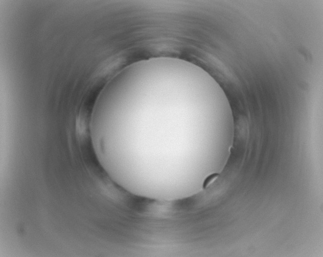 X0000115740138200911252008