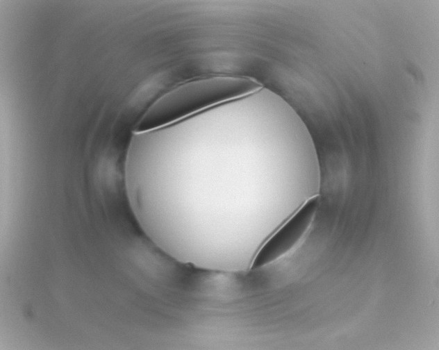 X0000115740140200911252008