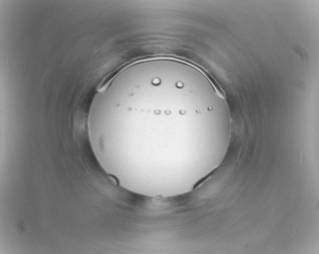 X0000115740141200911252008