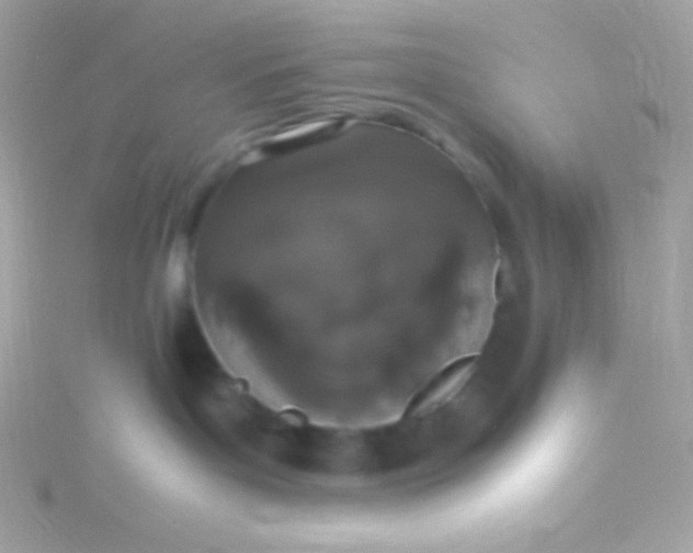 X0000115740143200911252008