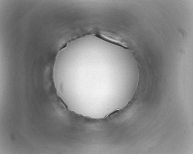 X0000115740144200911252008