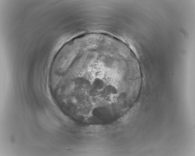 X0000115740145200911252007