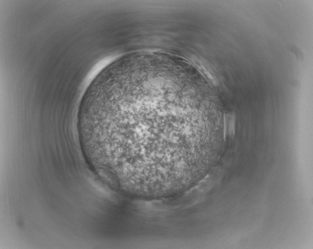 X0000115740147200911252007