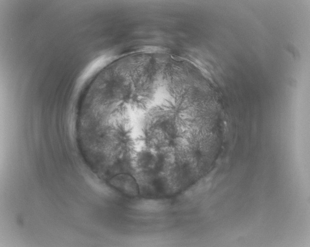 X0000115740149200911252007