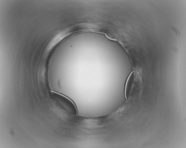 X0000115740150200911252007