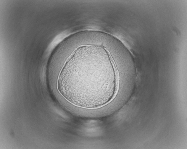 X0000115740151200911252007